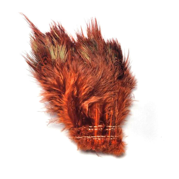 Strung Ringneck Pheasant Rump--by Fish Hunter