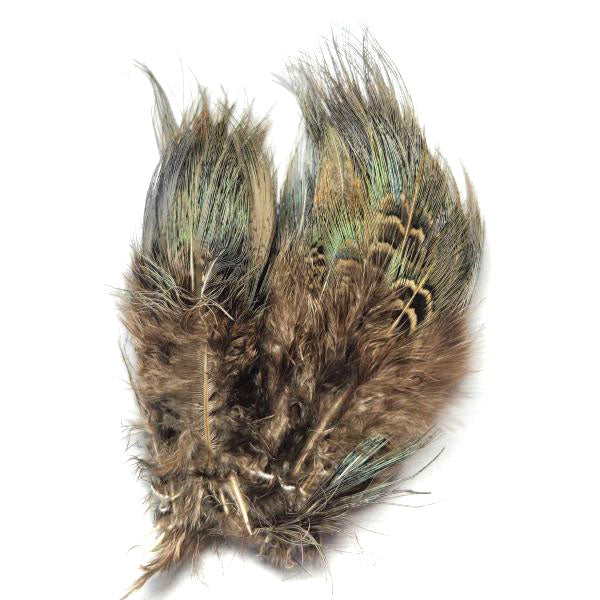 Strung Ringneck Pheasant Rump--by Fish Hunter