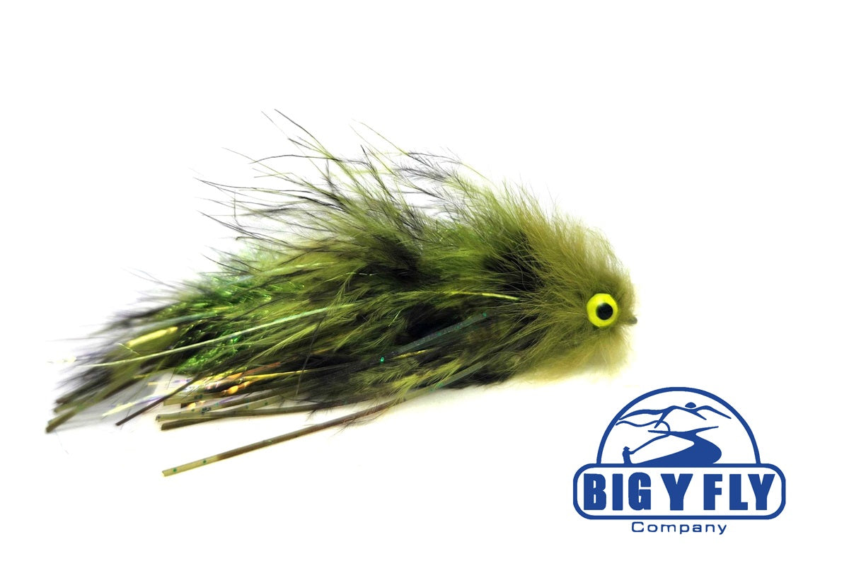 20240905_104629_copy_1200x800.