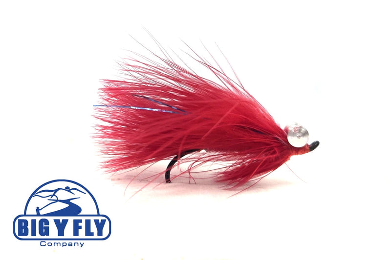 Coho Comet