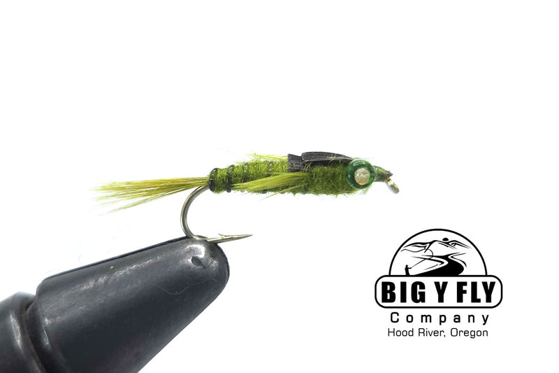 Glass Eye Damsel Nymph