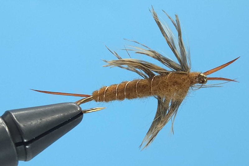 Hellgrammite Brown