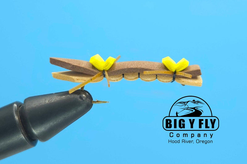 Chernobyl Ant