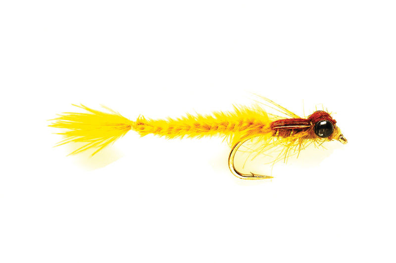Living Damsel - Fulling Mill