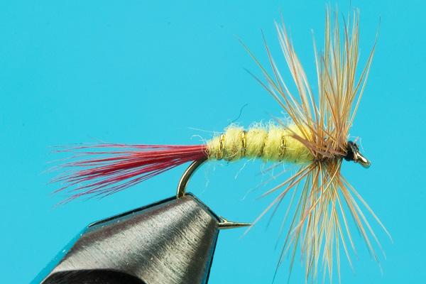 Yellow Sally Brown Hackle – Rocky Mountain Fly and Feather