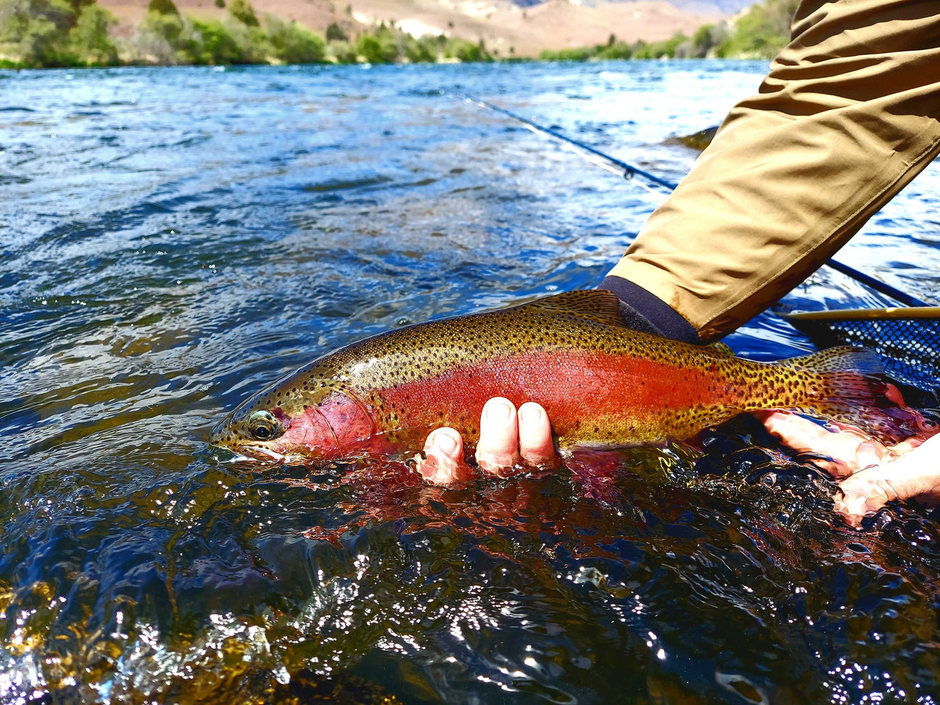 Best Selling Trout Flies