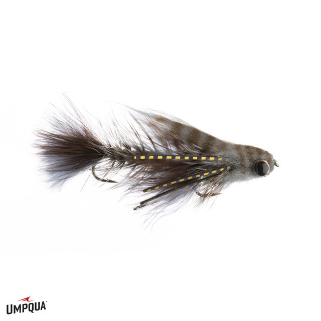 Baby Gonga - Umpqua