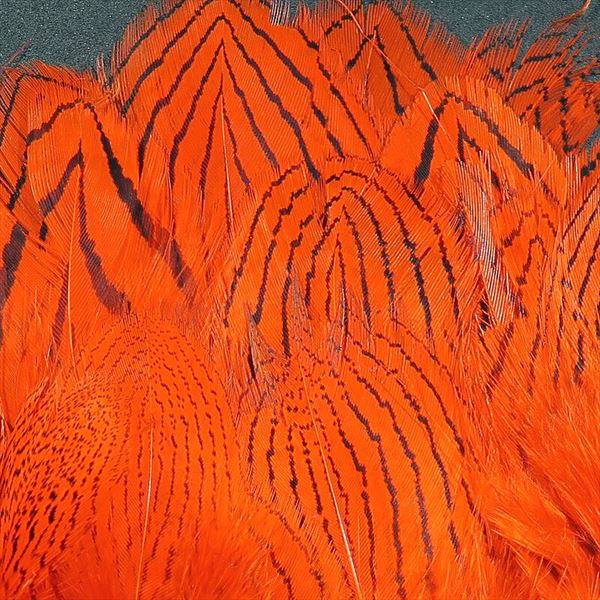 Strung Silver Pheasant Body Feathers--Hareline