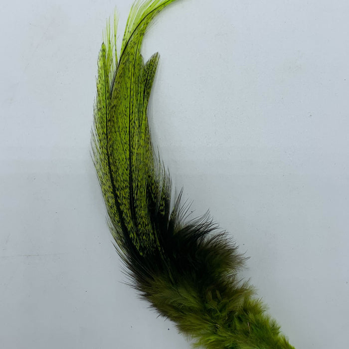 Coq De Leon UV2 Perdigon Fire Tail Feathers--Hareline