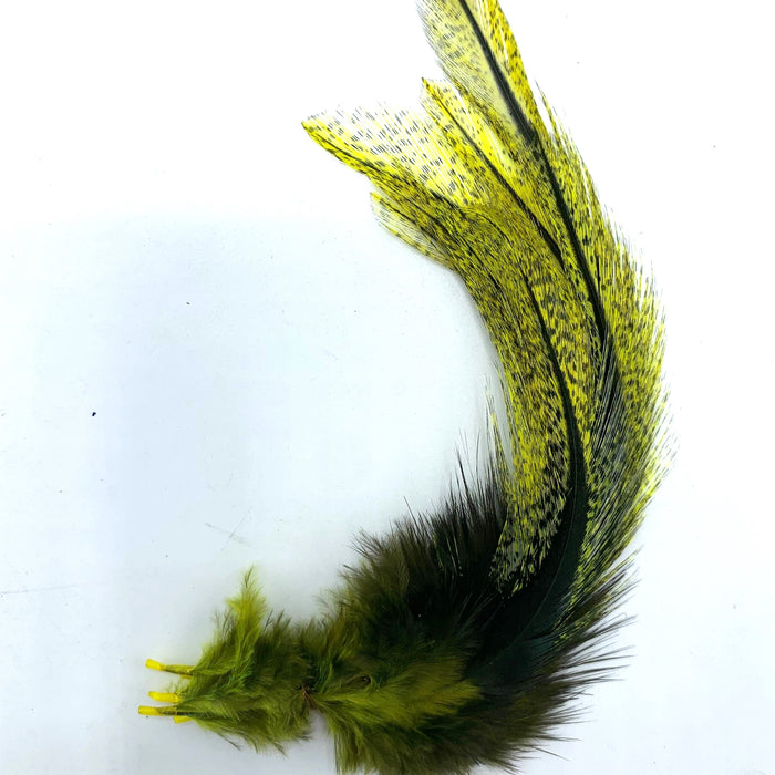 Coq De Leon UV2 Perdigon Fire Tail Feathers--Hareline