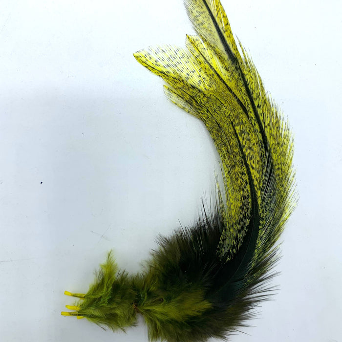 Coq De Leon UV2 Perdigon Fire Tail Feathers--Hareline