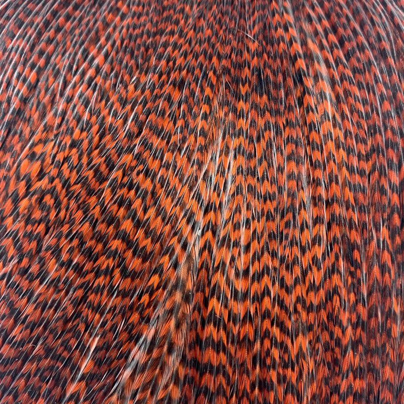 Keough Tyer's Grade Cape