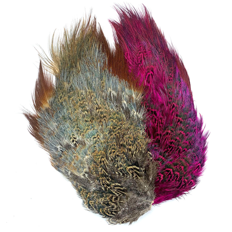 Ringneck Pheasant Rump Patch--by Fish Hunter