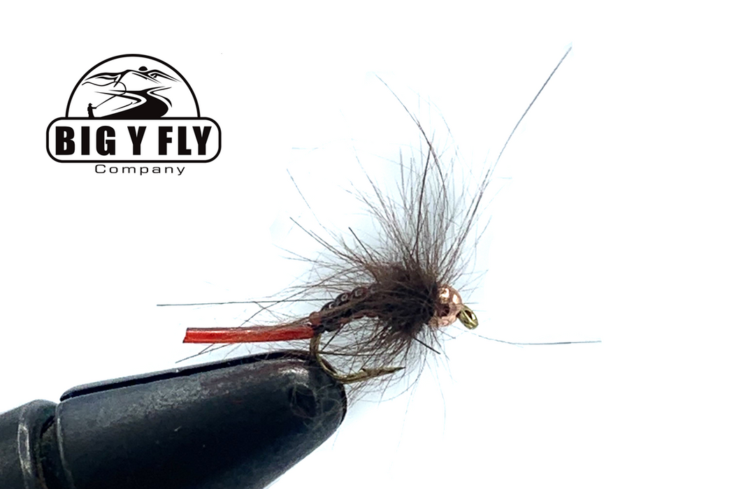Jelly Caddis - Beadhead