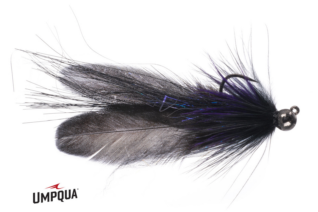 Kisha's Sugar Momma - Umpqua