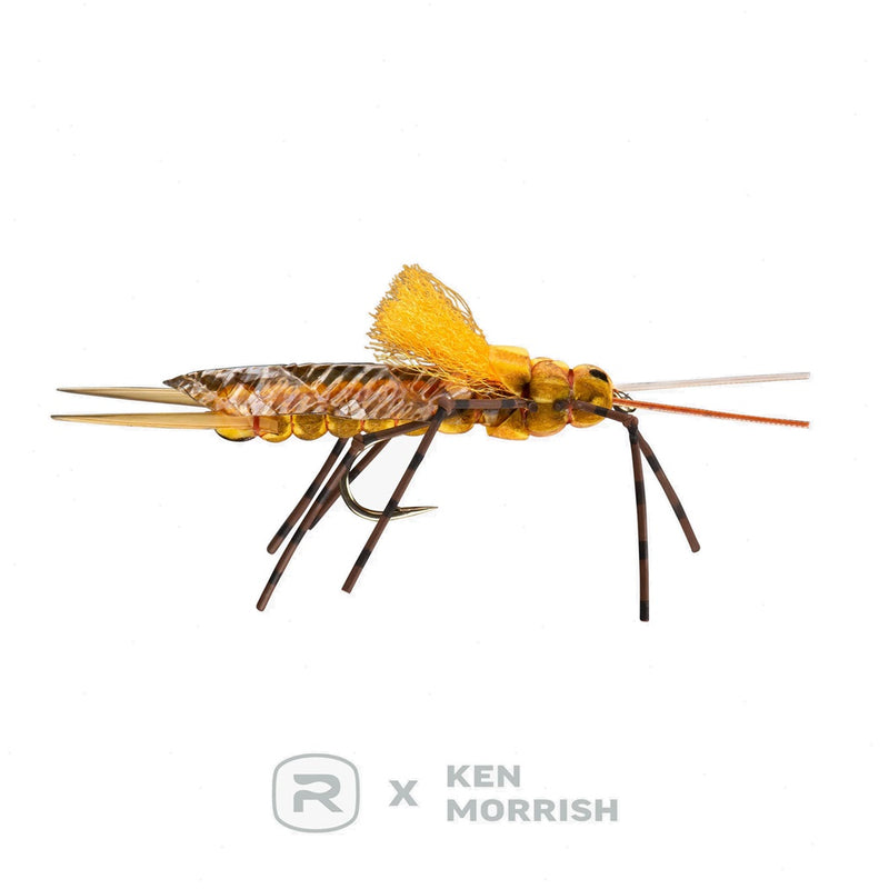 Morrish Still Stone - RIO