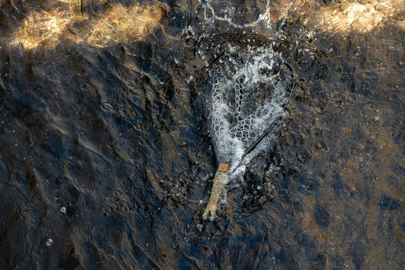Fishpond Nomad Yampa Hand Net - 2.0