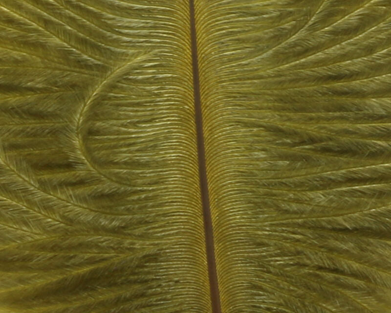 Ostrich Herl--Hareline