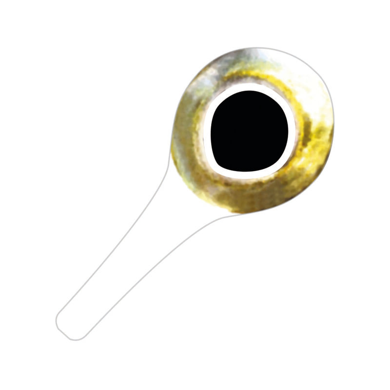 PRO 3D Tabbed Eyes