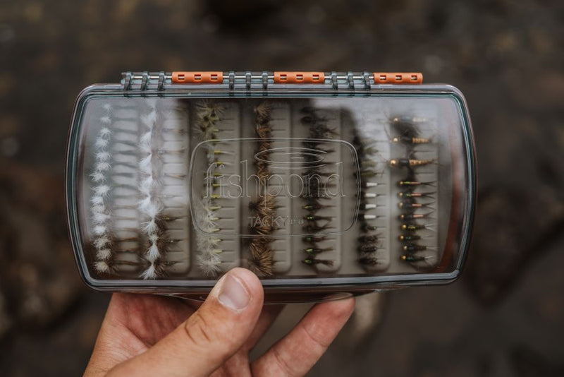 Tacky Pescador Fly Box - Medium / Clear