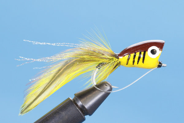 Bass Popper-Bass Flies — Big Y Fly Co