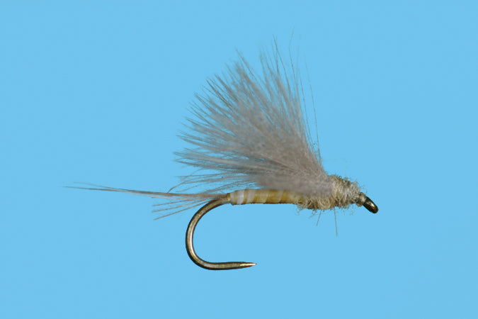 Harrop's CDC Biot Dun PMD - Solitude