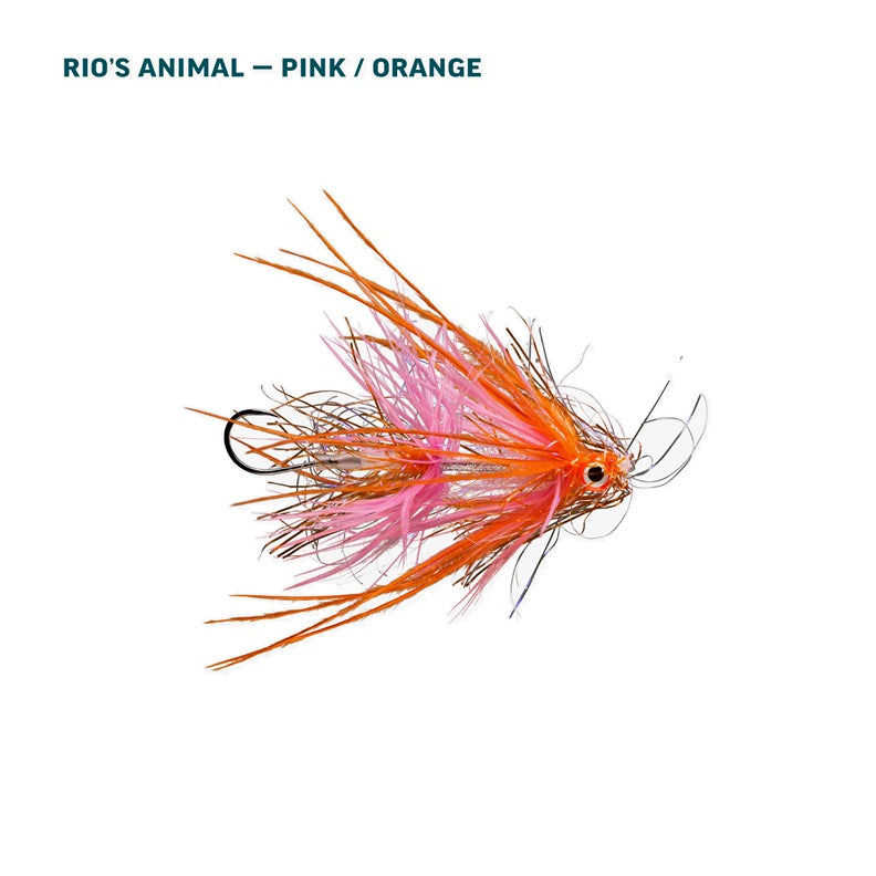 RIO Alaska Salmon Assortment - 10 Flies