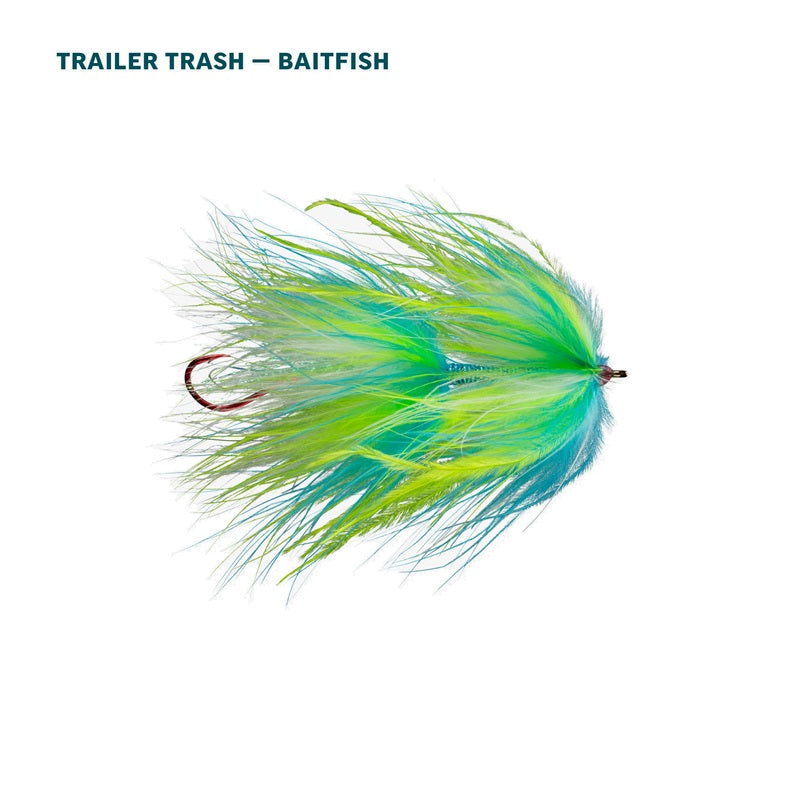 RIO Alaska Salmon Assortment - 10 Flies