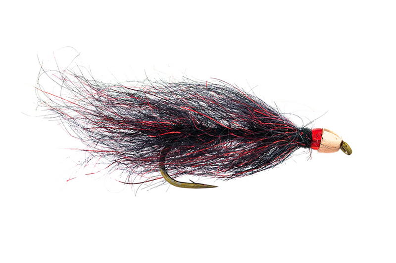 Ruby Eyed Leech - Umpqua