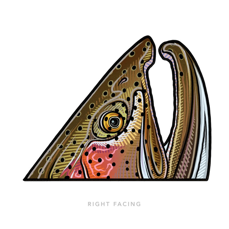 Casey Underwood Artwork - Rainbow Rise Decal