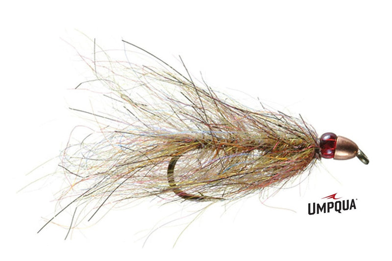 Ruby Eyed Leech - Umpqua