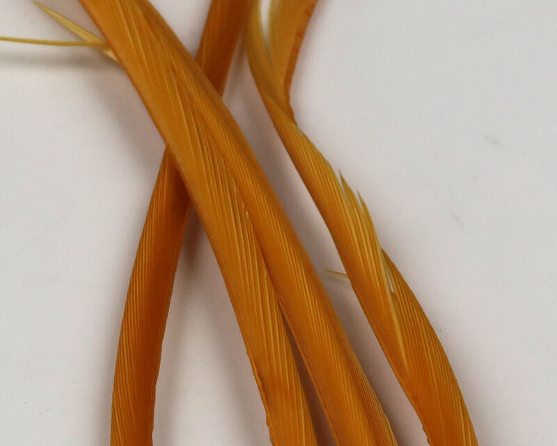Stripped Goose Biots--Hareline