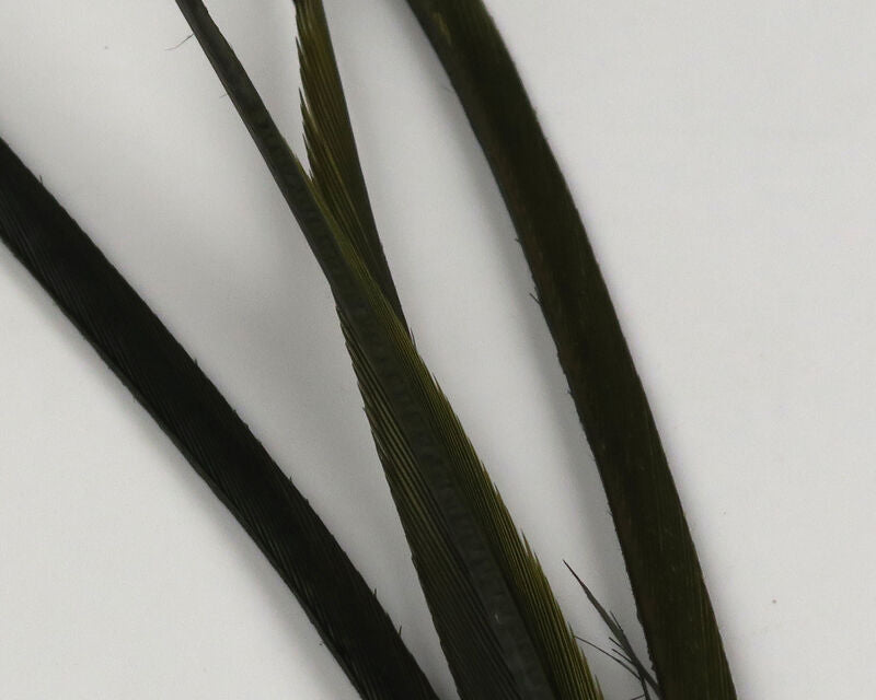 Stripped Goose Biots--Hareline
