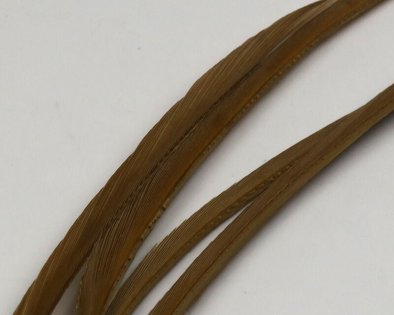 Stripped Goose Biots--Hareline