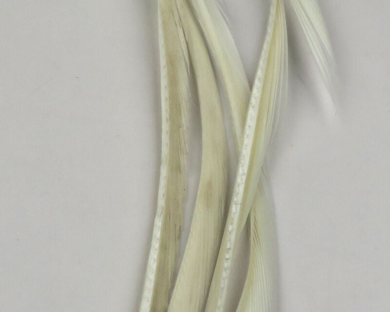 Stripped Goose Biots--Hareline