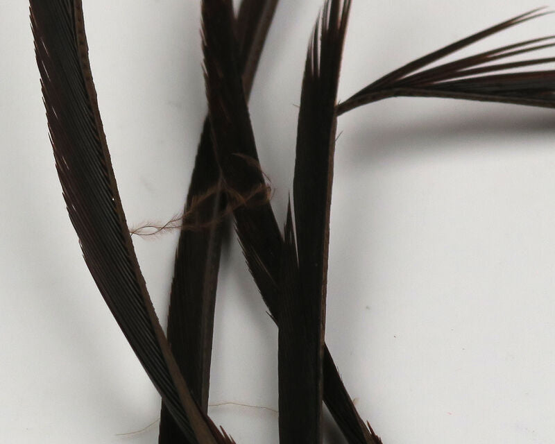 Stripped Goose Biots--Hareline