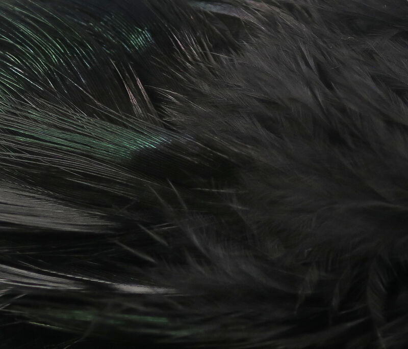Strung Ringneck Pheasant Rump--Hareline