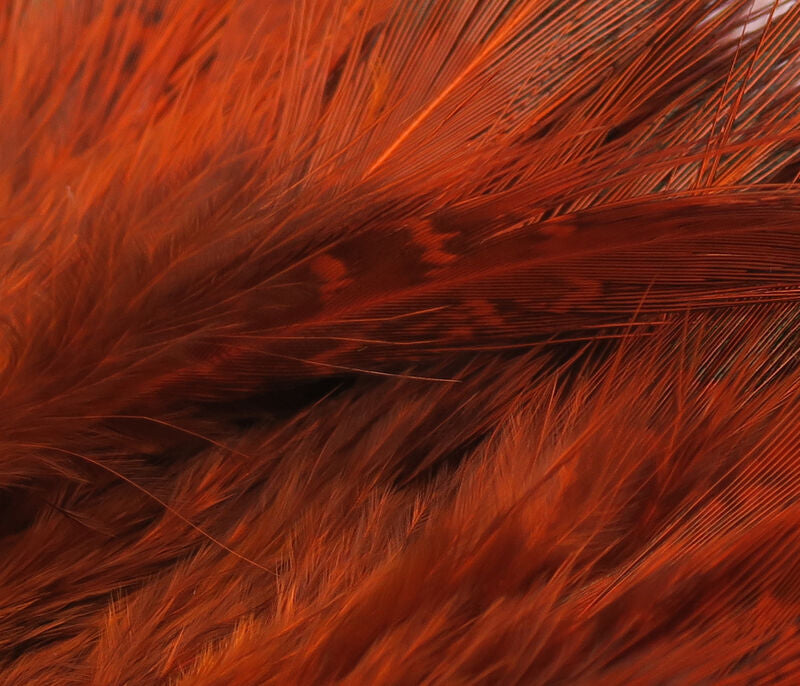 Strung Ringneck Pheasant Rump--Hareline