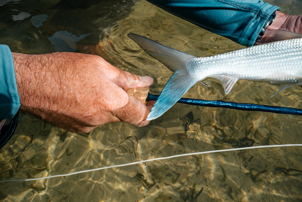 Sage Signal Fly Rod