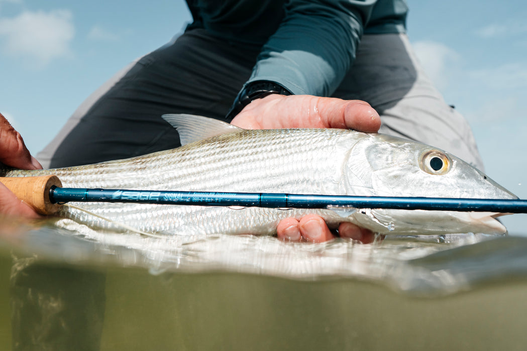 Sage Signal Fly Rod