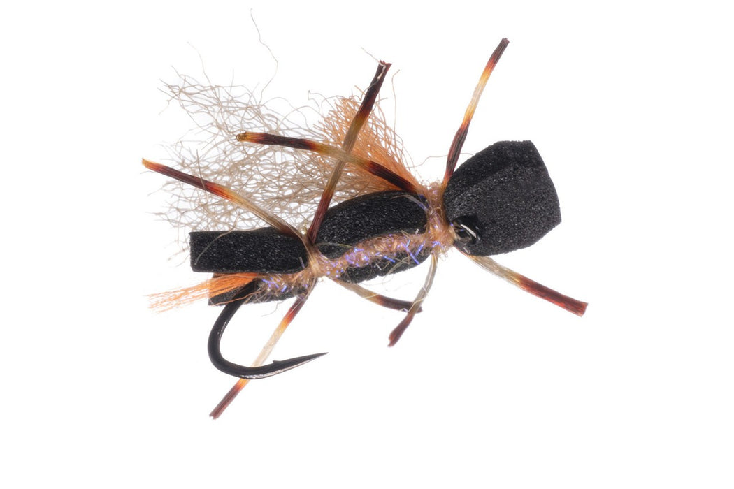 Stubby Chubby - Umpqua