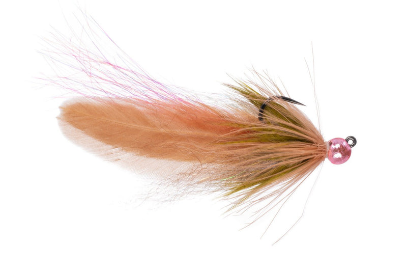 Kisha's Sugar Momma - Umpqua