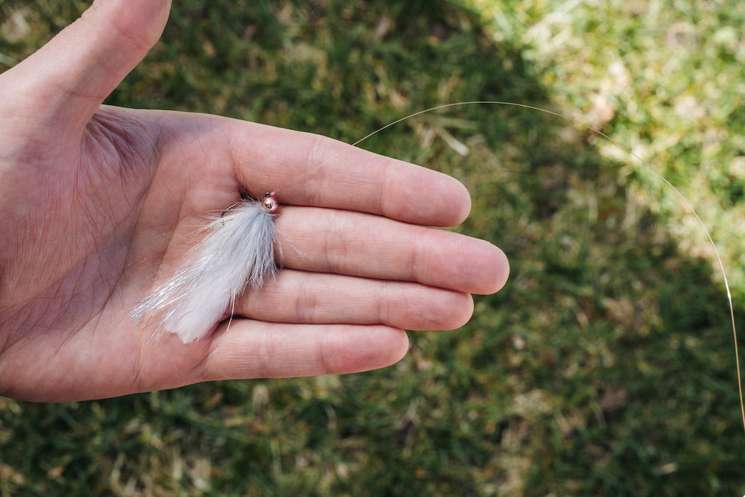 Kisha's Sugar Momma - Umpqua