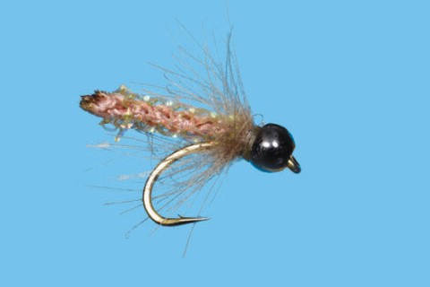 Daddy's Caddis - Tungsten - Solitude