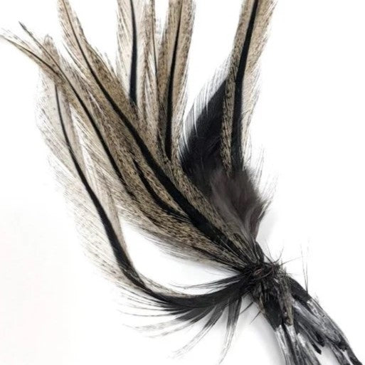 Coq De Leon UV2 Perdigon Fire Tail Feathers--Hareline