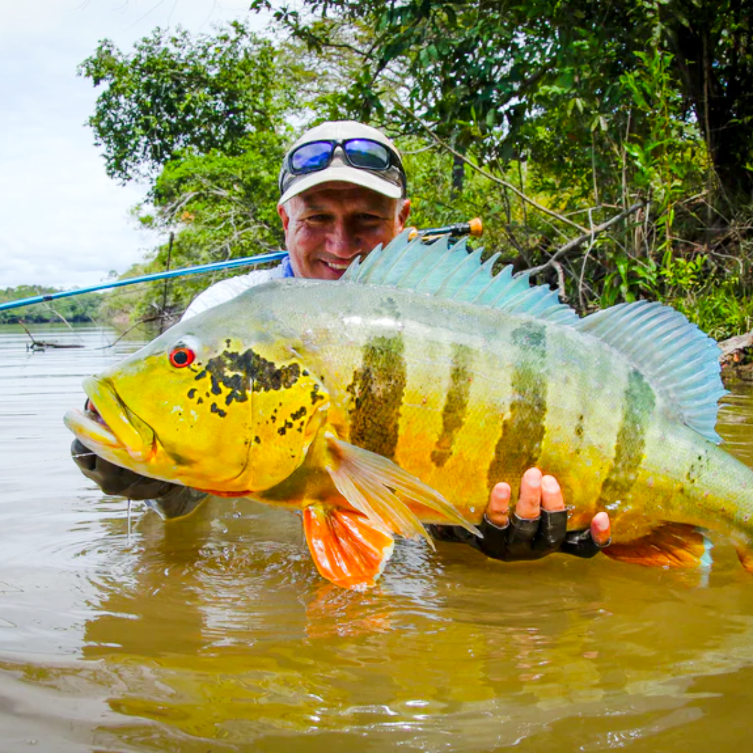 Suggested Fly Rods