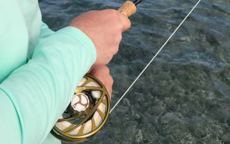 Flying Rods Mexico Flies For Baja Mexico | Big Y Fly Co
