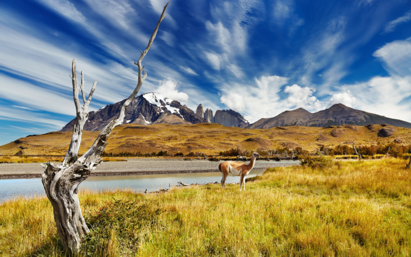 Unspoiled Chilean Rivers