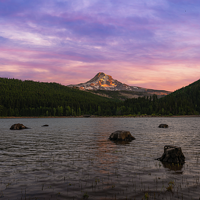 Laurance Lake Assortment