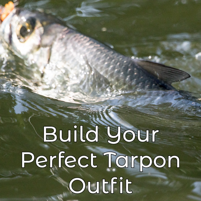 Build Your Perfect Tarpon Outfit